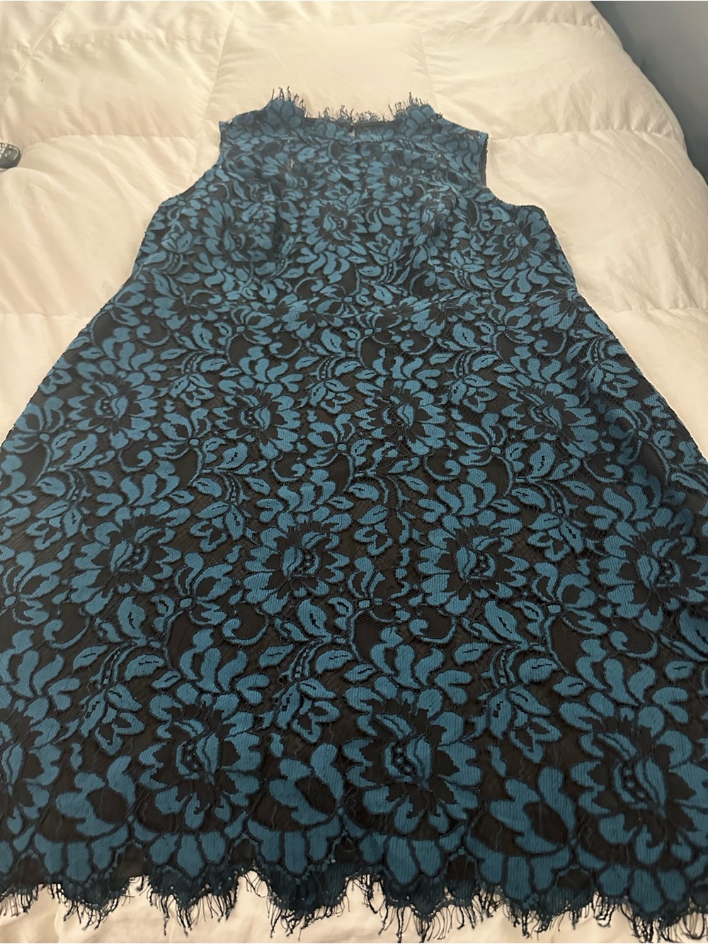 Gorgeous Eliza J lace party dress